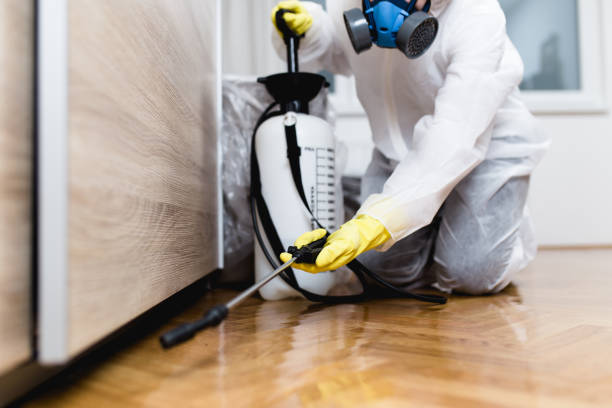 Best Pest Prevention Services  in Penrose, CO