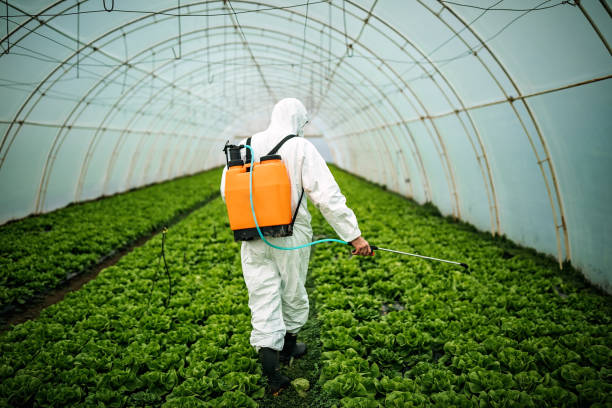 Best Pest Prevention Services  in Penrose, CO