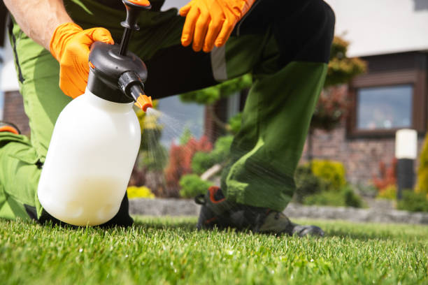 Best Pest Control Treatment  in Penrose, CO