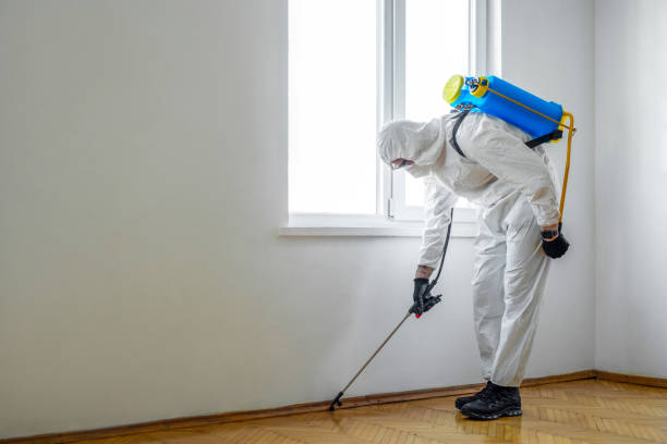 Best Mosquito Control Services  in Penrose, CO