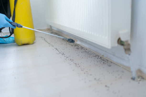 Best Exterminator Services  in Penrose, CO
