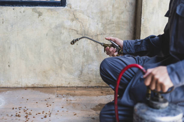 Best Residential Pest Control  in Penrose, CO